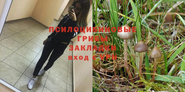 кокаин колумбия Богданович
